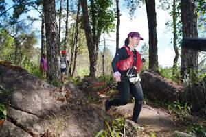 BIB: 
                            <button type="button" onclick="openModal(18950070)" class="btn btn-primary btn-sm float-right btn-popup" data-toggle="modal" data-target=".modal-high-quality">
                        <i class="fas fa-shopping-cart"></i> Add to Cart
                    </button>
                                            <button type="button" onclick="isThisMe(18950070, true)" class="btn btn-success btn-sm float-right btn-popup btn-isme hidden" data-toggle="tooltip" data-placement="bottom" title="นี่คือรูปของคุณใช่ไหม คลิกที่นี่เพื่อเอาเข้าอัลบั้ม">
                        <i class="fas fa-plus"></i> Add to album
                    </button>
                    <button type="button" onclick="isThisMe(18950070, false)" class="btn btn-warning btn-sm float-right btn-popup btn-isnotme hidden">
                        <i class="fas fa-ban"></i> Remove from album
                    </button>